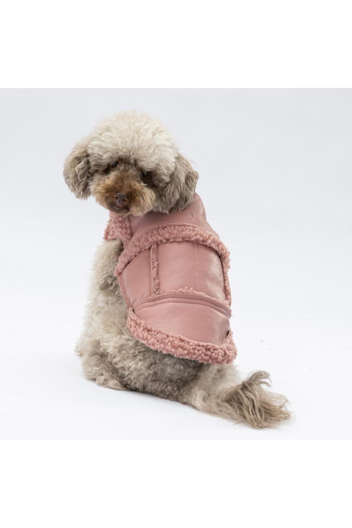 Pawstar Rose Churchill Yelek Köpek Yeleği Köpek Kıyafeti Köpek Yağmurluk L