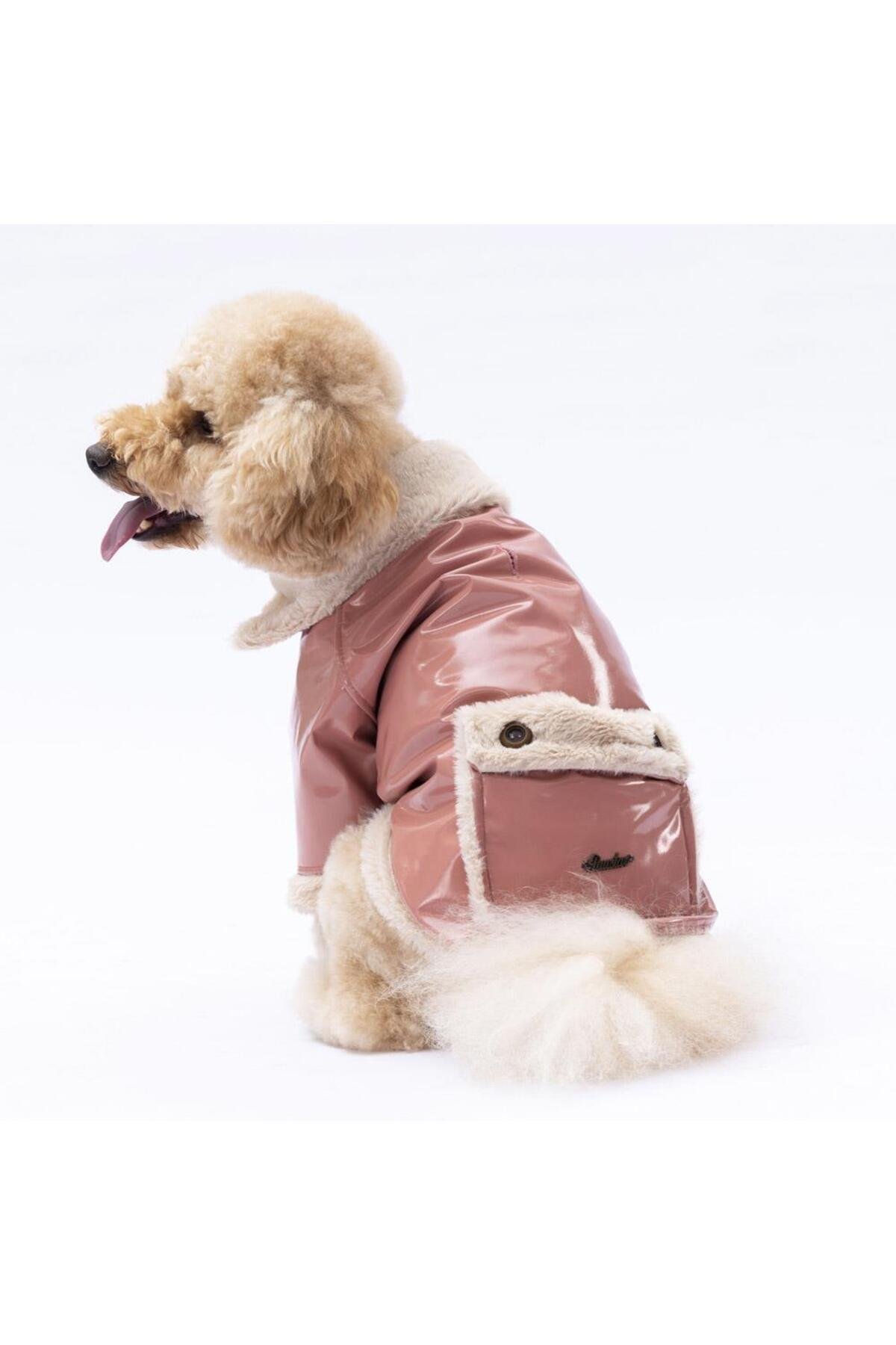 Pawstar Rose Vegas Ceket Kedi Köpek Ceketi Kedi Köpek Kıyafeti Kedi Köpek Elbisesi L