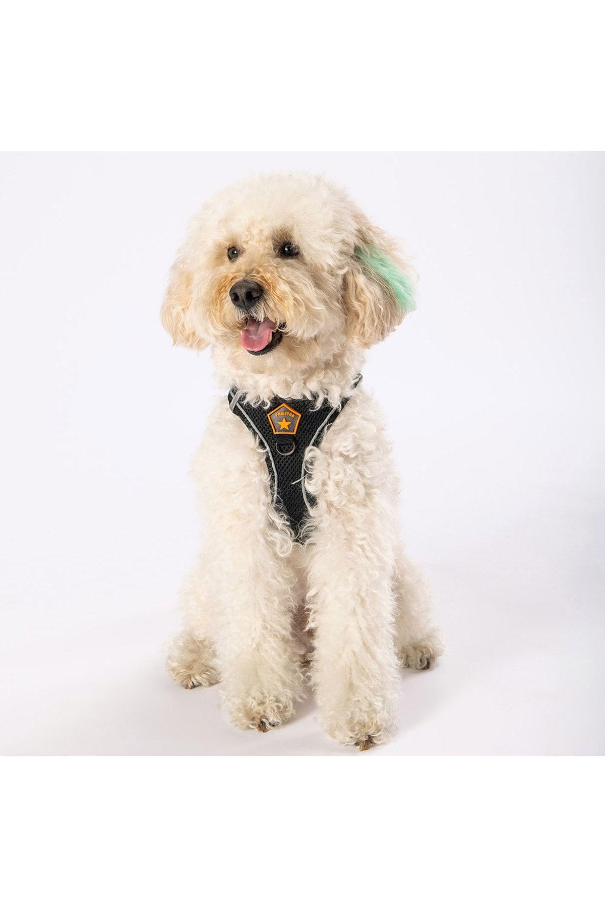 Pawstar Siyah Air-mesh Göğüs Tasması Kedi Köpek Göğüs Tasması L