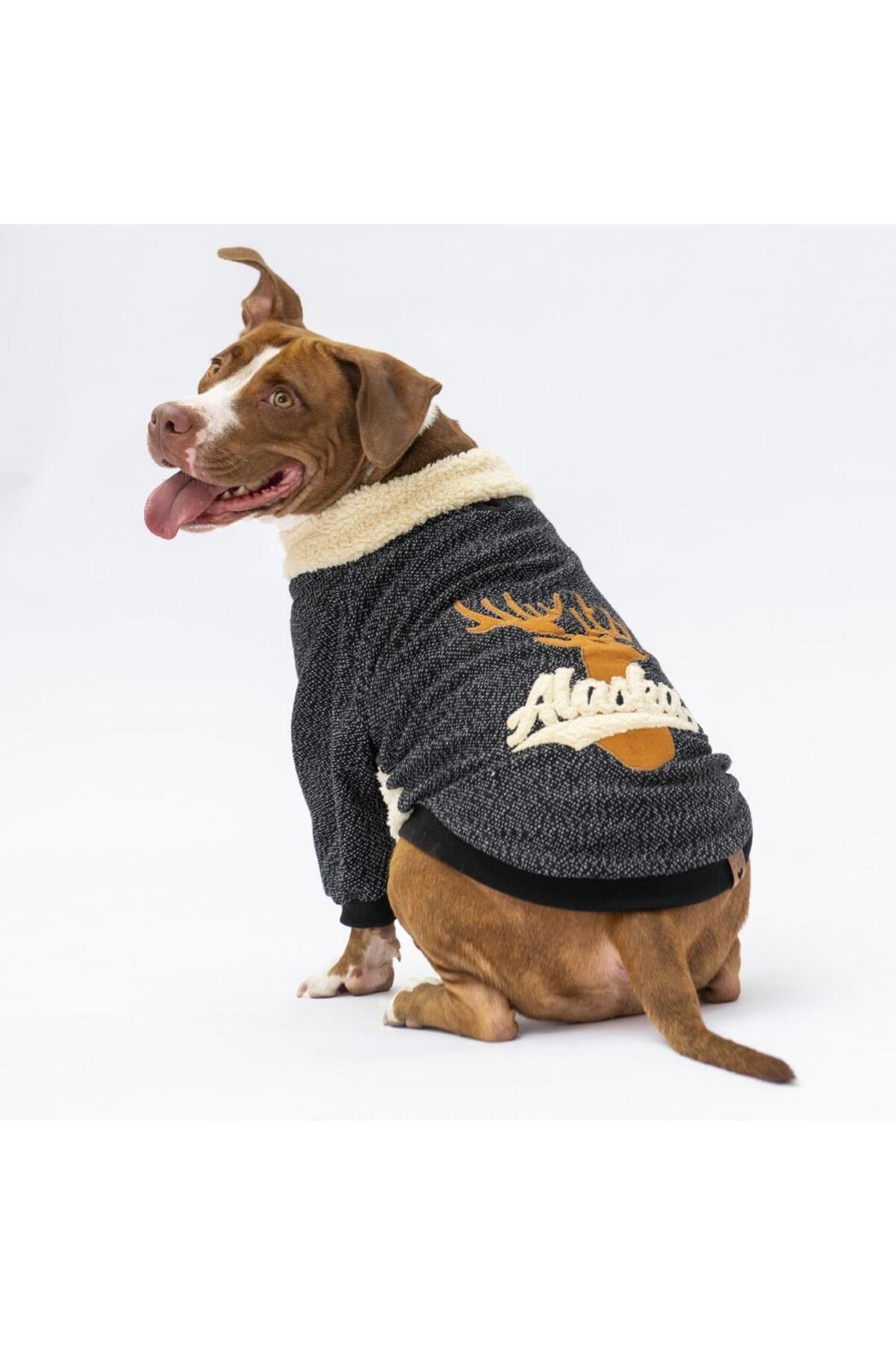 Pawstar Siyah Alaska Büyük Irk Köpek Sweat Köpek Kıyafeti 3XL