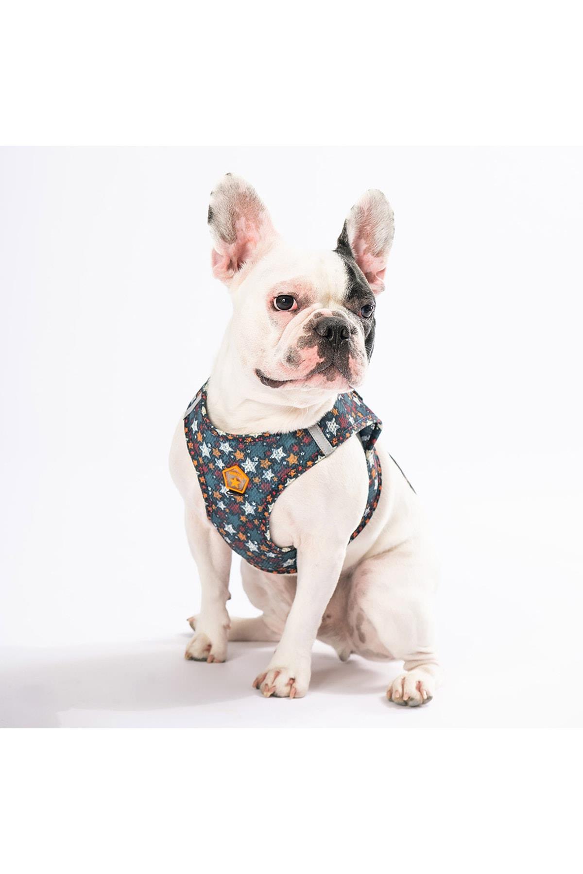 Pawstar Stallae Air-mesh Göğüs Tasması Kedi Köpek Göğüs Tasması 3XSmall