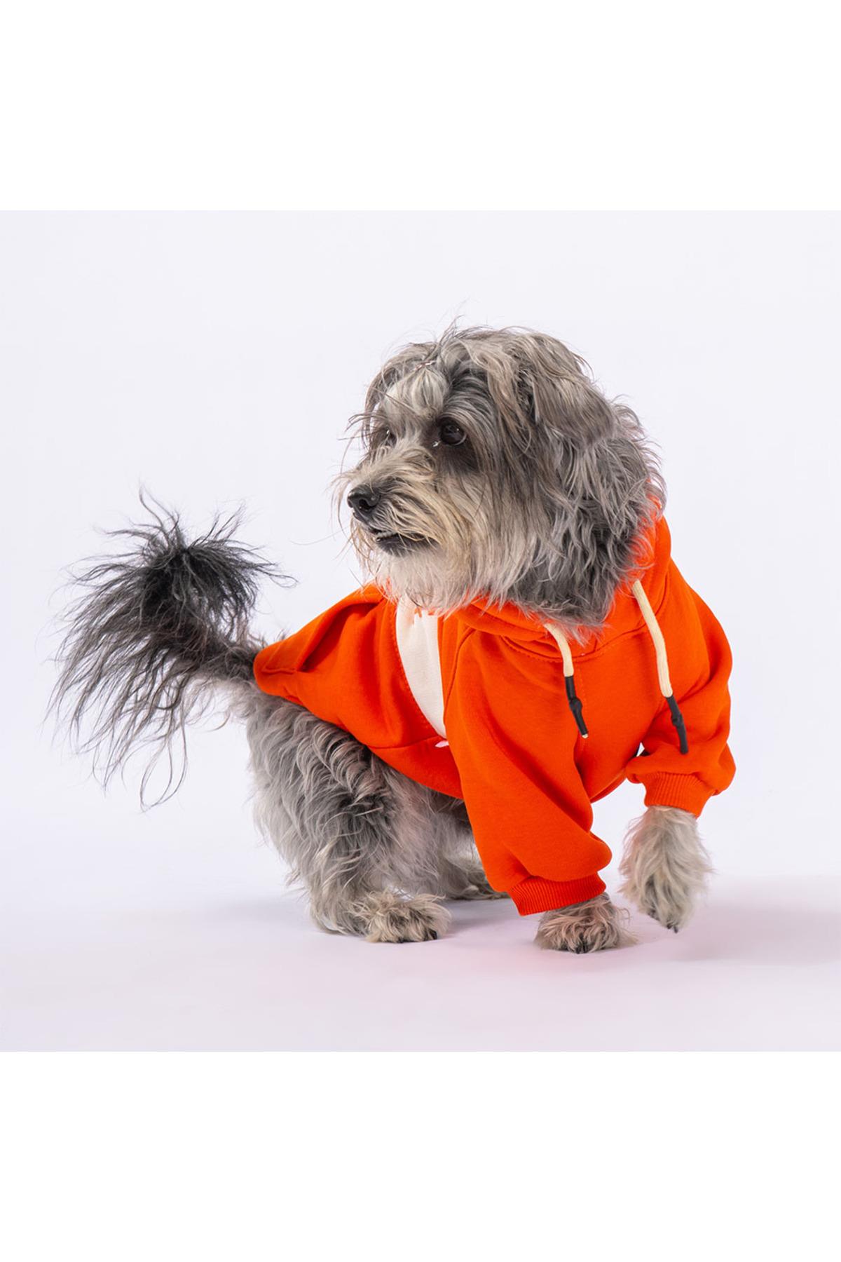 Pawstar Turuncu Cute Köpek Hoodie Köpek Sweat Köpek Kıyafeti Kedi Kıyafeti XL