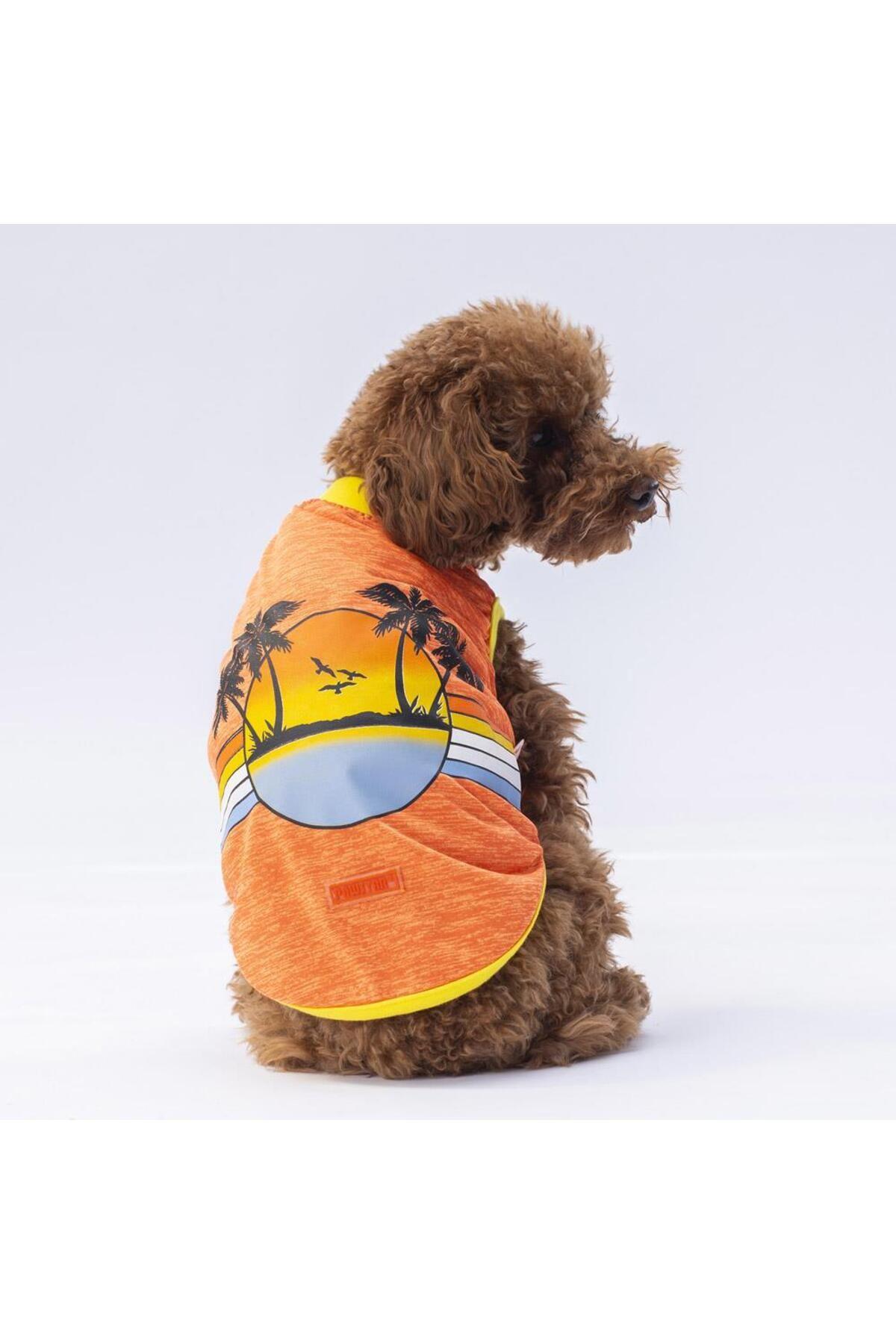 Pawstar Turuncu Sunrise Kedi Köpek Tişörtü - Kedi Köpek Kıyafeti M