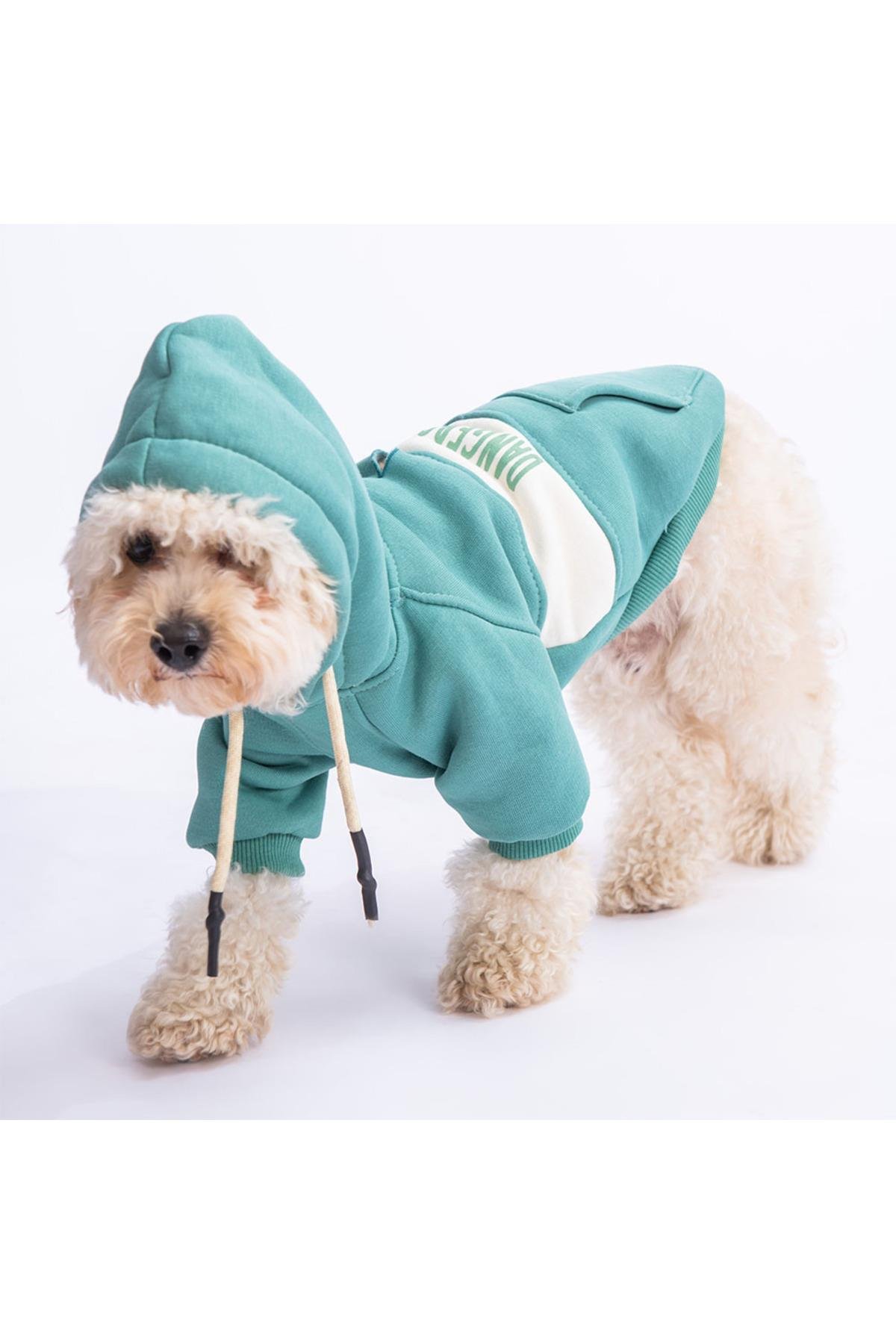 Pawstar Yeşil Cute Köpek Hoodie Köpek Sweat Köpek Kıyafeti Kedi Kıyafeti -XL