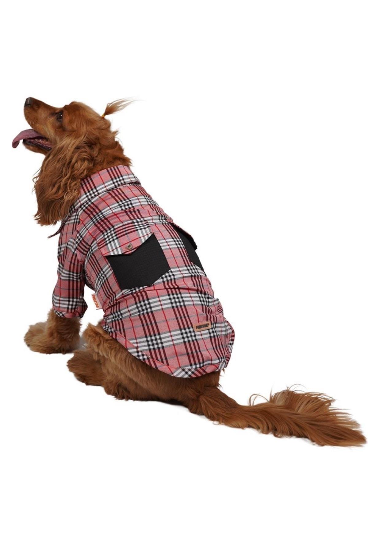 Red Plaid Kırmızı Ekose Kedi Köpek Gömleği Kedi Köpek Kıyafeti - L