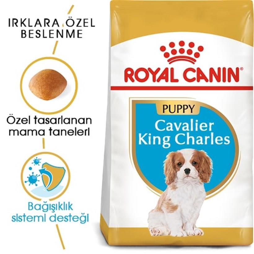 Royal Canin Cavalier King Charles Junior Yavru köpek Maması 1,5Kg