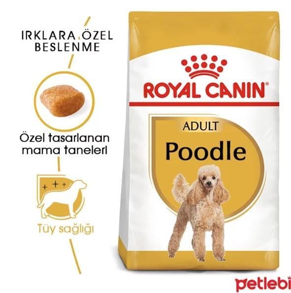 Royal Canin Poodle Yetişkin Köpek Maması 3kg
