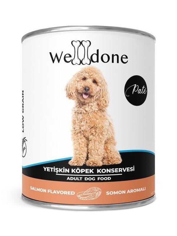 Welldone Somonlu Yetişkin Köpek Konservesi 400 gr