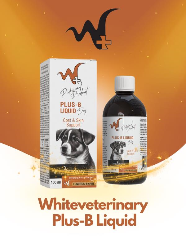 WhiteVeterinay Köpekler İçin Deri Ve Tüy Sağlığı Destekleyici B Vitamini Plus-B Liquid 100 ml