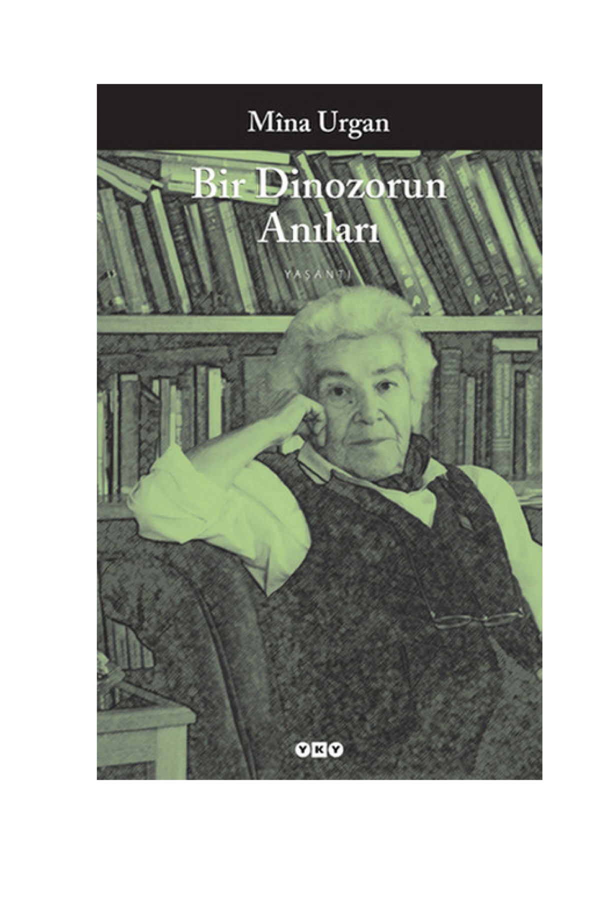 Bir Dinozorun Anıları Yapı Kredi Yayınları