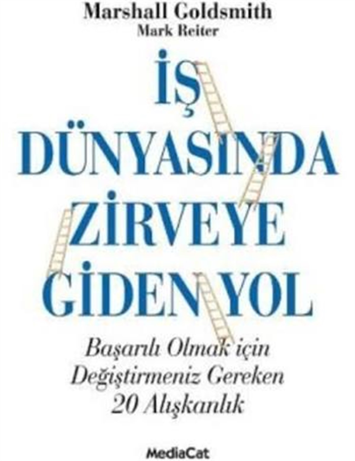 İş Dünyasında Zirveye Giden Yol Mediacat