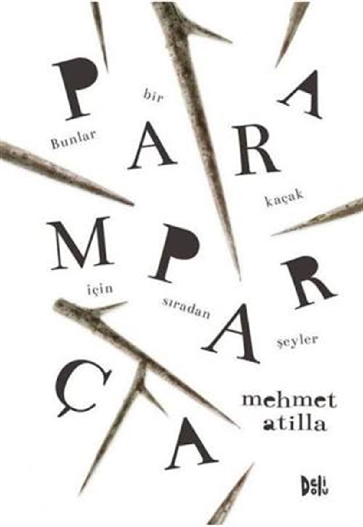 Paramparça Delidolu Kitap