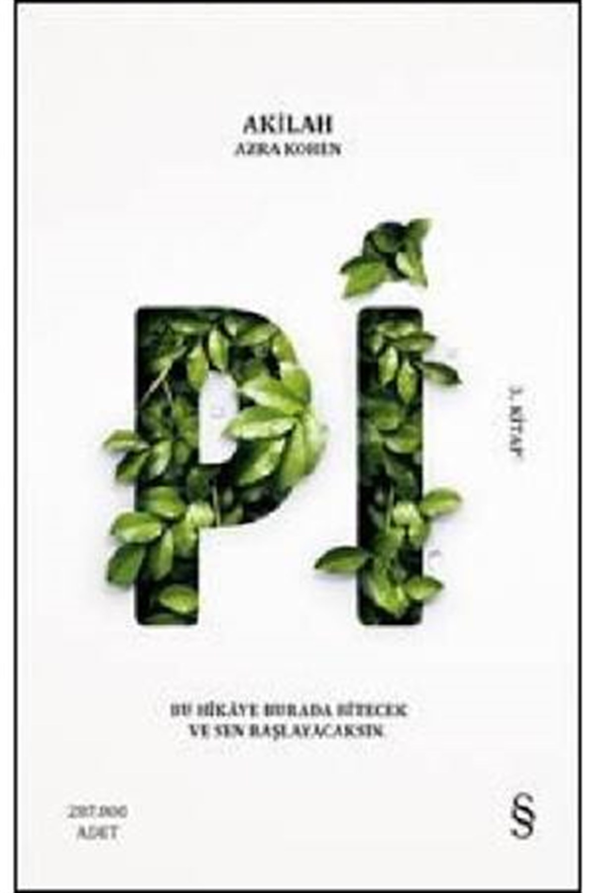 Pi Everest Yayınları