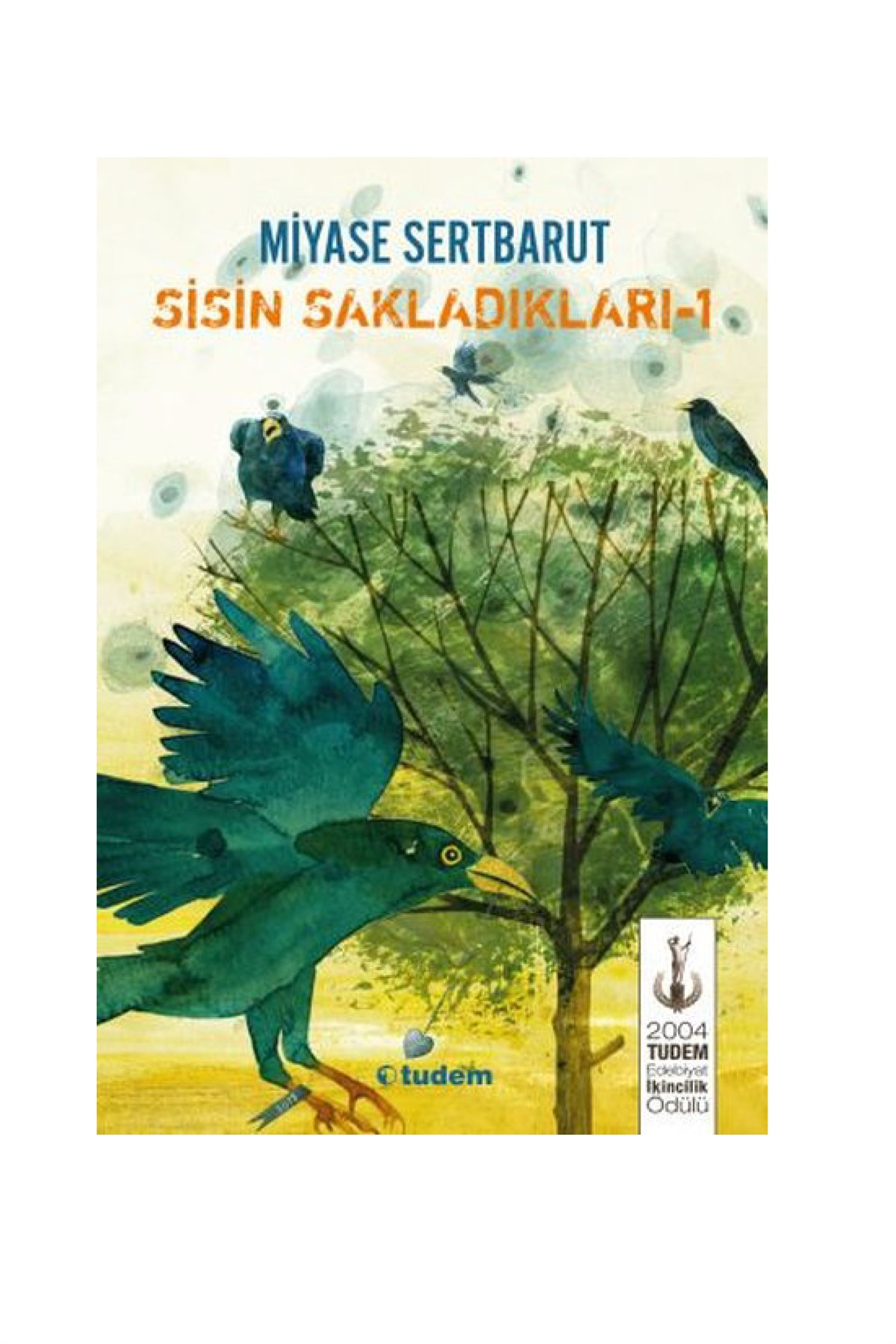 Sisin Sakladıkları Tudem Yayınları