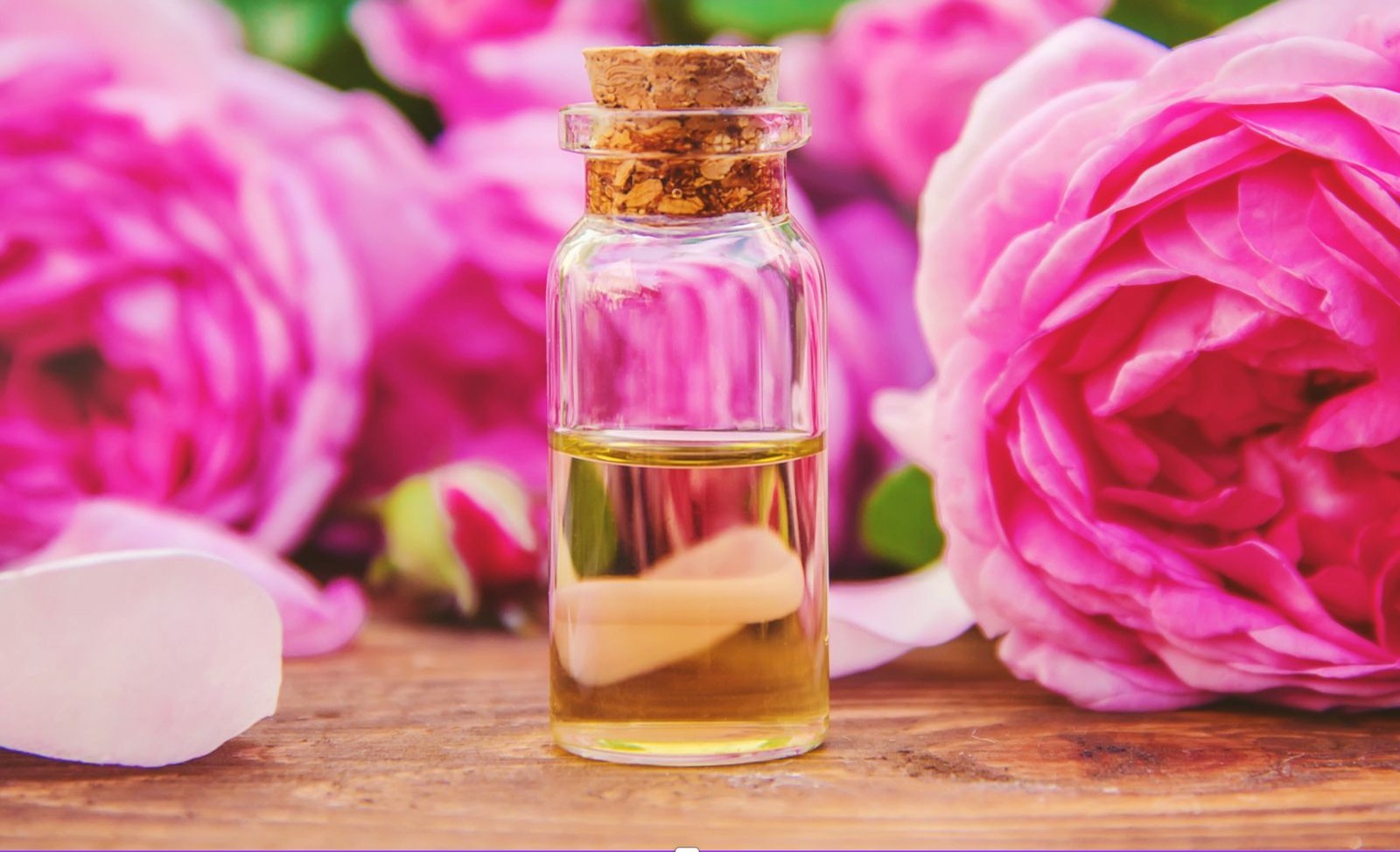 Gül Yağı Neden “Kalbin Yağı” Olarak Anılır?