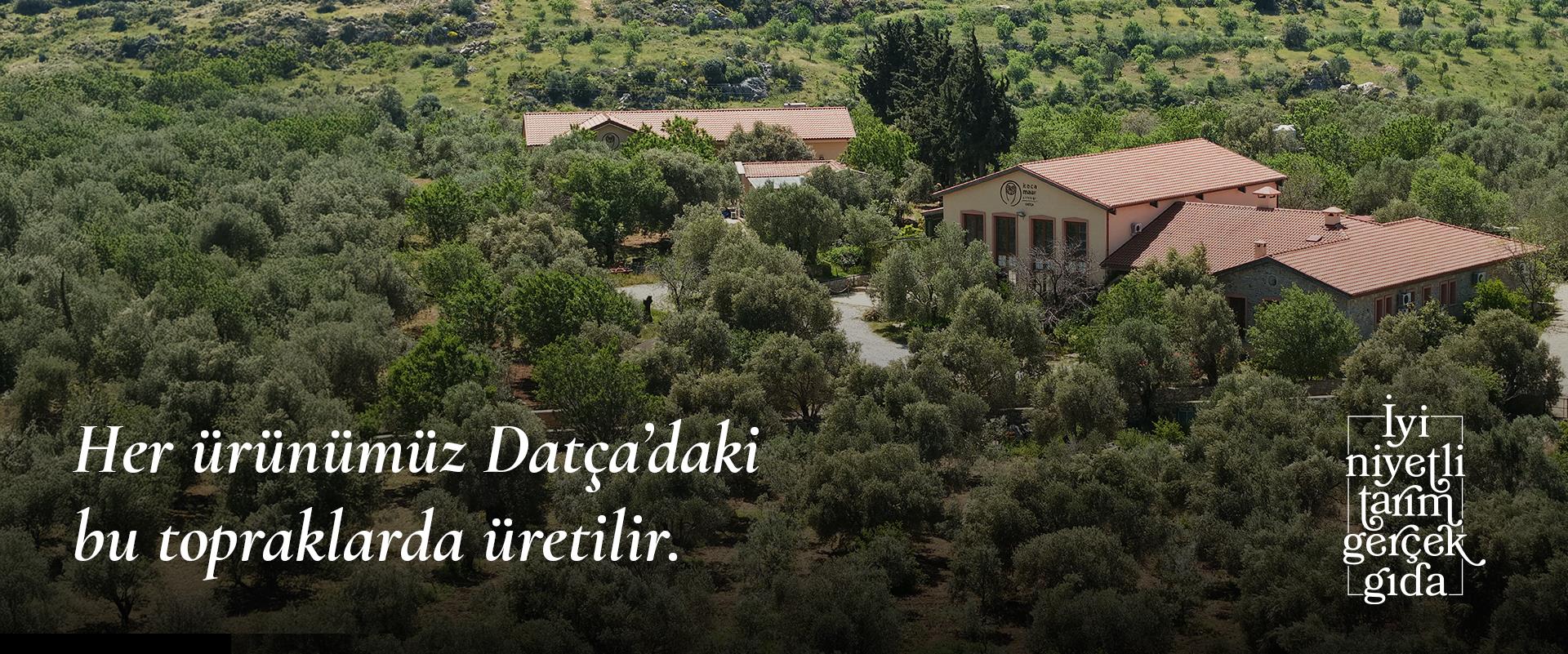 Datça Kocamaar Çiftliği