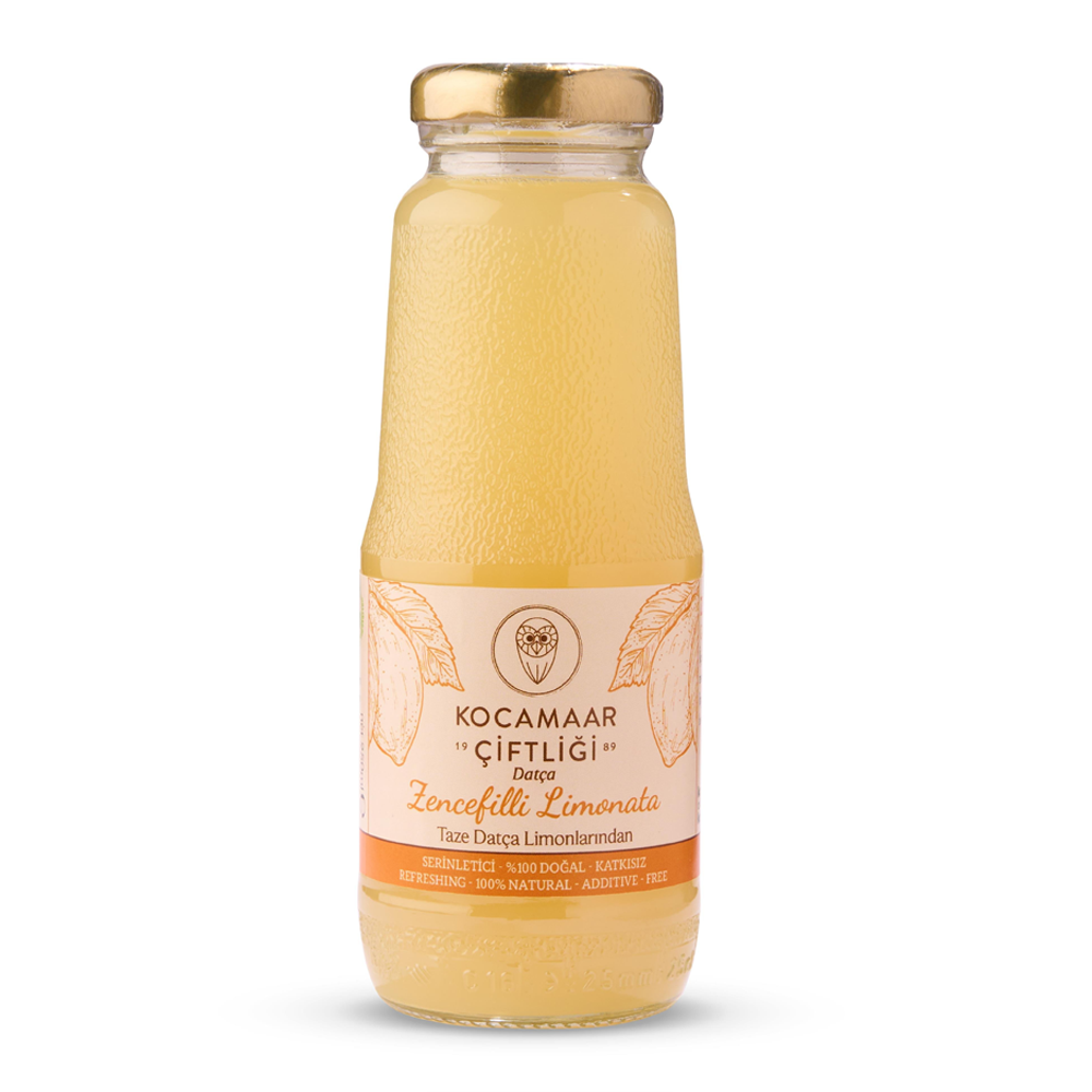 Zencefilli Limonata 250 Ml