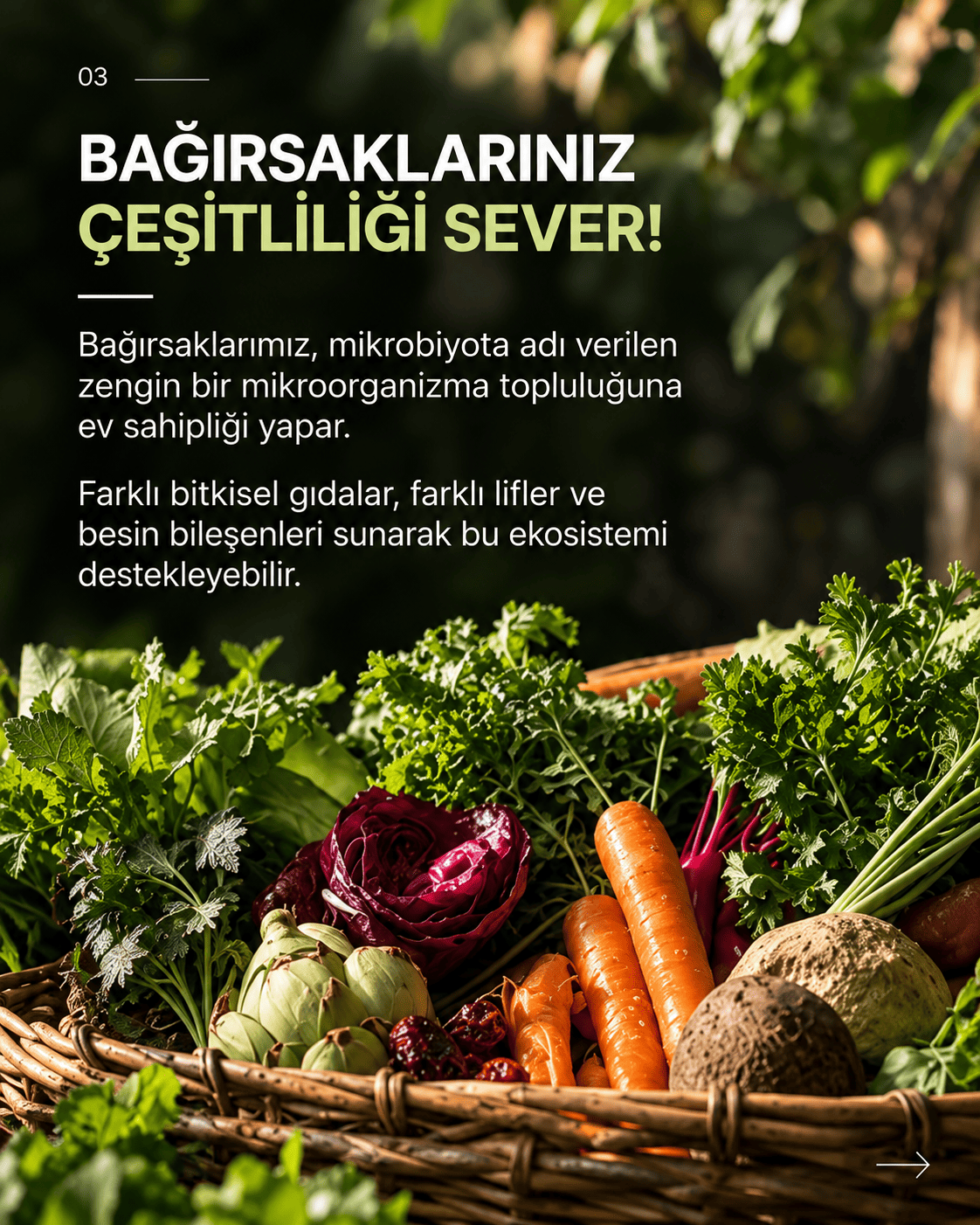 Bağırsaklarınız çeşitliliği sever: Farklı lifler ve besin bileşenleri sunan renkli sebzeler.