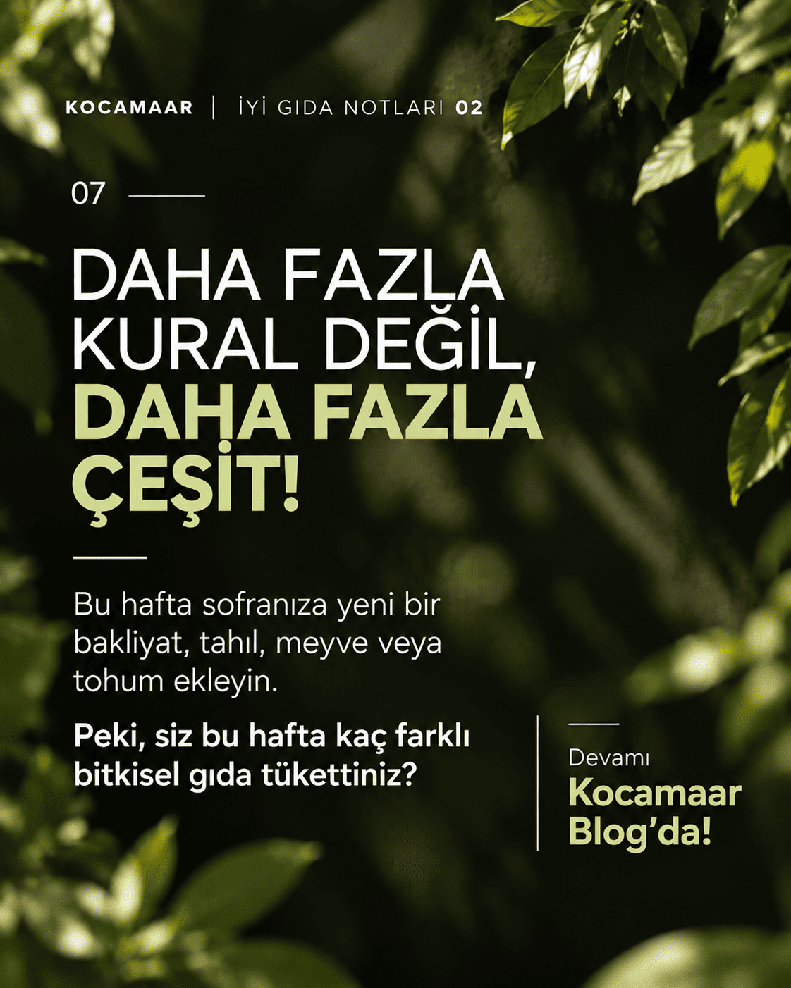 Daha fazla kural değil, daha fazla çeşit: Bu hafta sofranızda kaç farklı bitkisel gıdaya yer verdiniz?