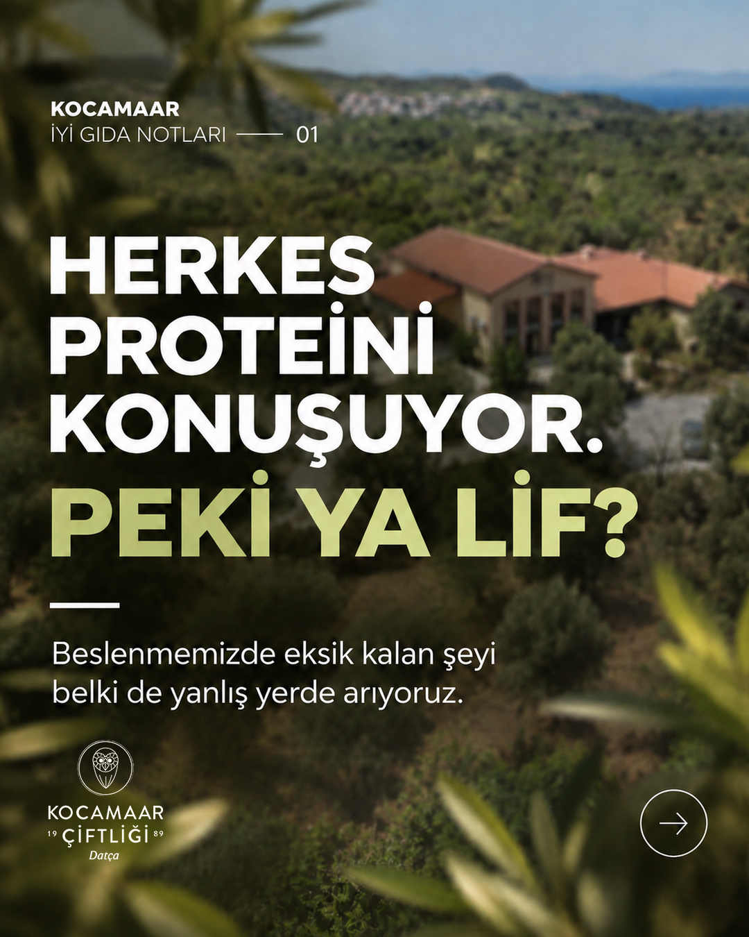 Kocamaar İyi Gıda Notları: Herkes proteini konuşuyor,peki ya lif?