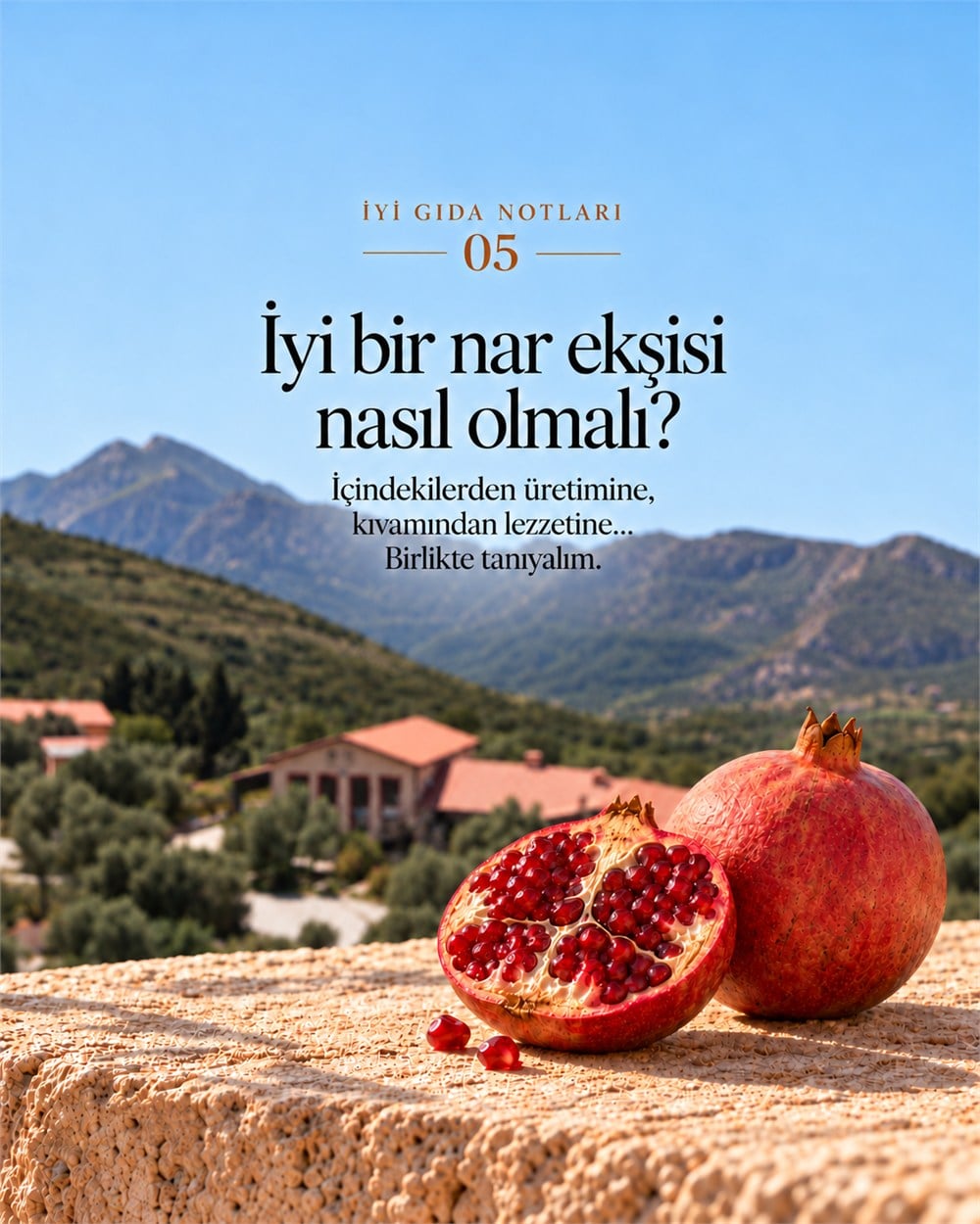 Kocamaar i̇yi gıda notları 05: i̇yi bir nar ekşisi nasıl olmalı?