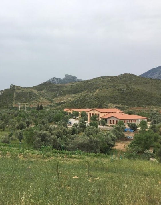 Datça vadisinde Kocamaar Çiftliği