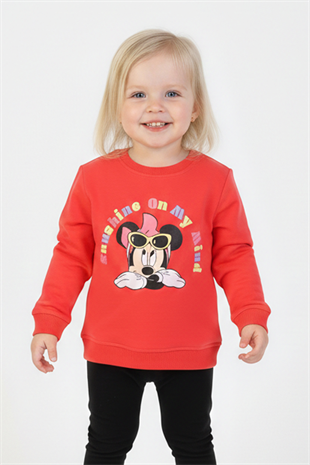 İki İplik Fırçalı Kumaş Baskılı Günlük Kullanım Bebe Sweatshirt