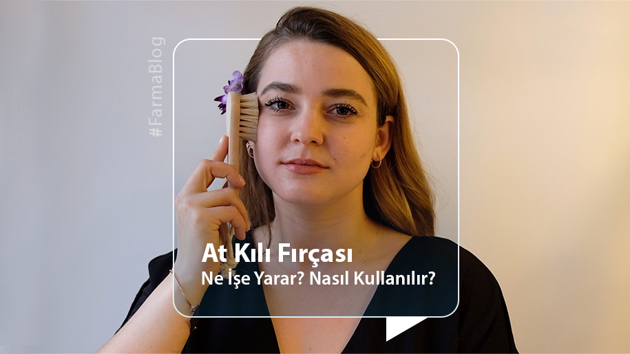 At Kılı Fırçası Ne İşe Yarar? Nasıl Kullanılır?