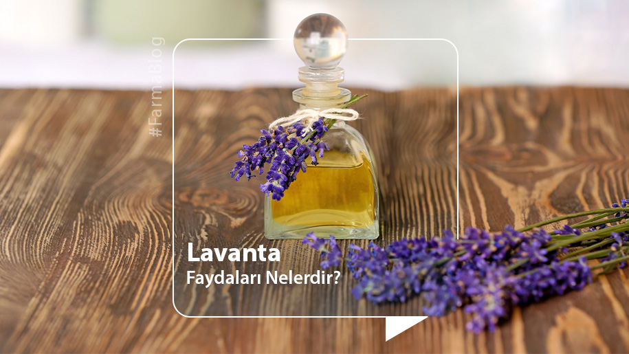 Lavanta Yağı Faydaları Nelerdir?