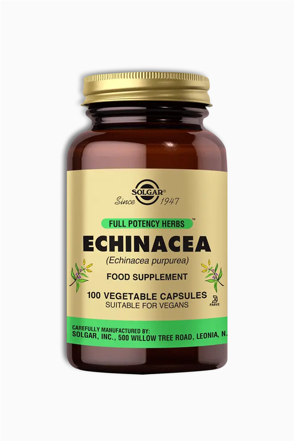 Solgar Echinacea 520 mg 100 Kapsül | Solgar | Solgar Echinacea 520 mg 100 Kapsül
