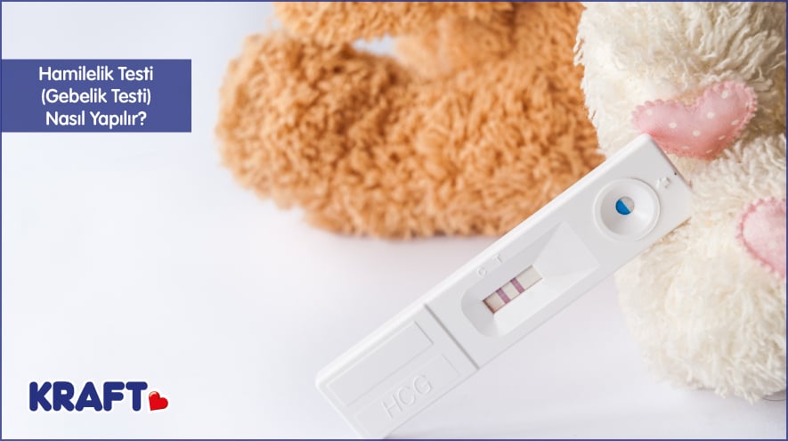 Hamilelik Testi (Gebelik Testi) Nasıl Yapılır?