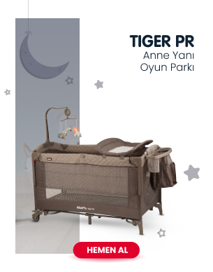 Tiger pr anne yanı oyun parkı