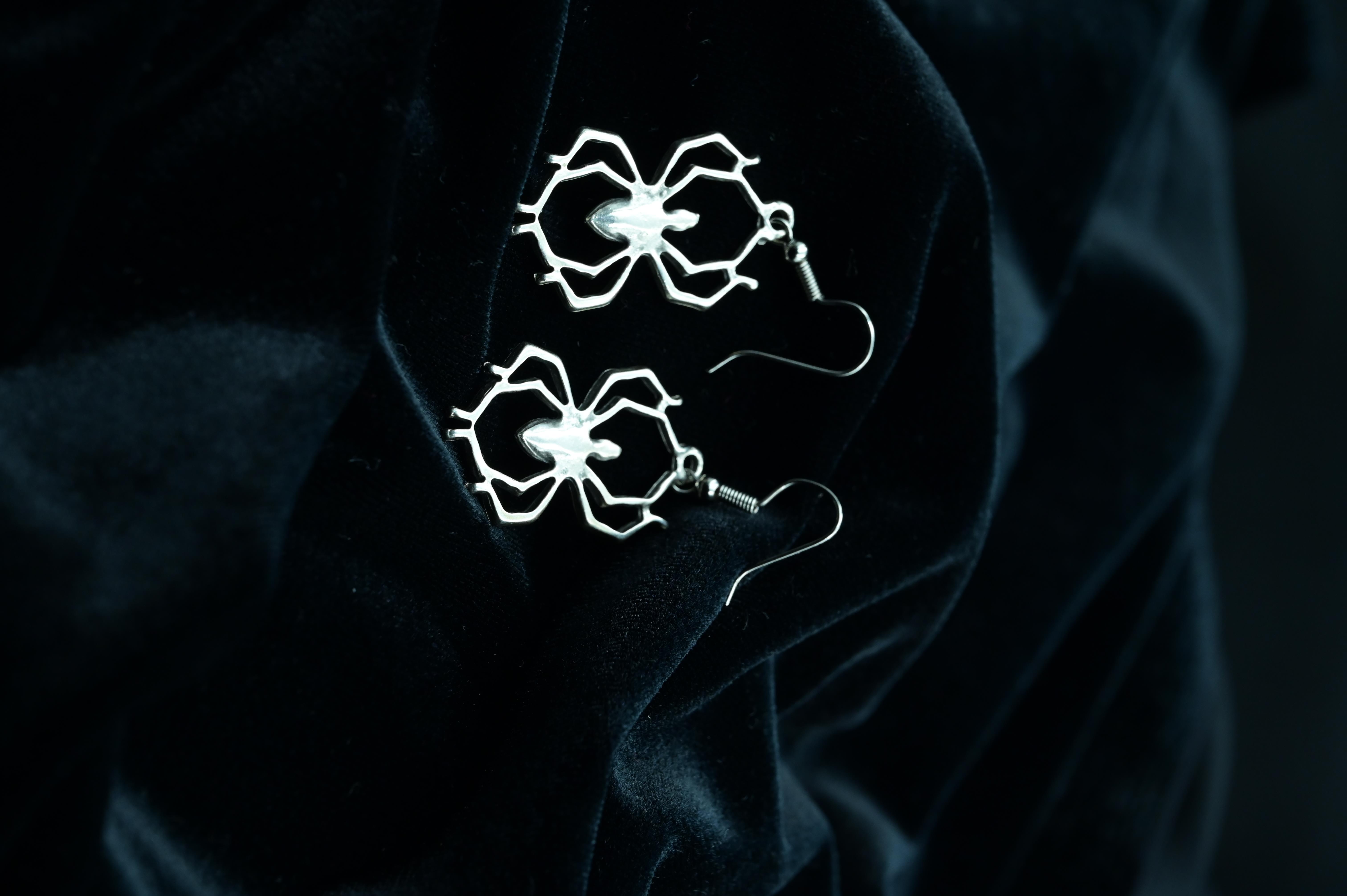 Mini Spider Çift Küpe
