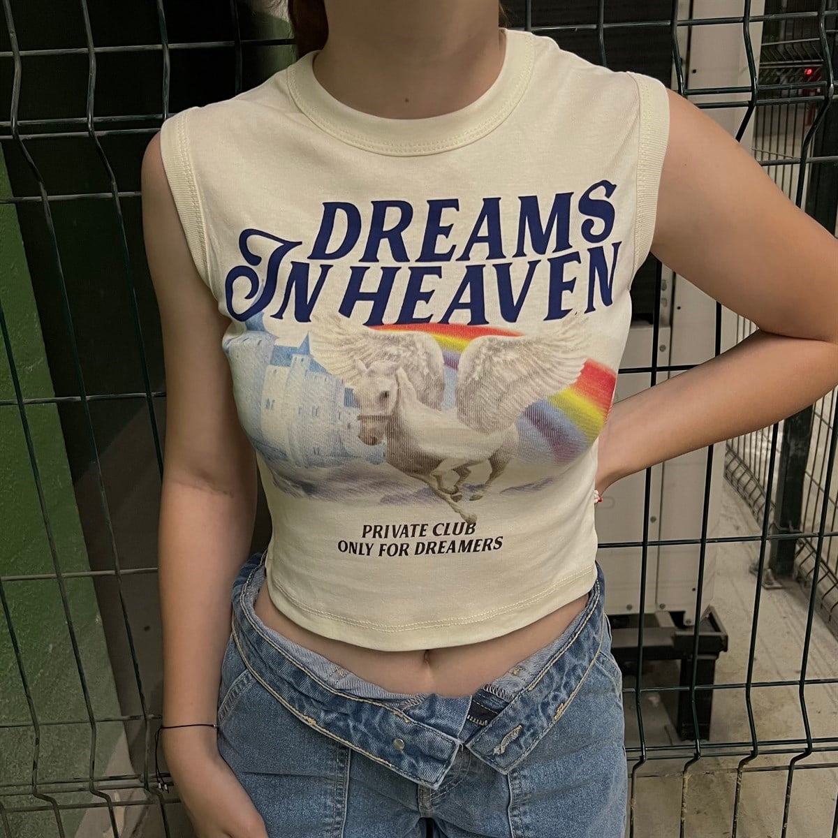Y2K DREAMS IN HEAVEN EKRU CROPTOP