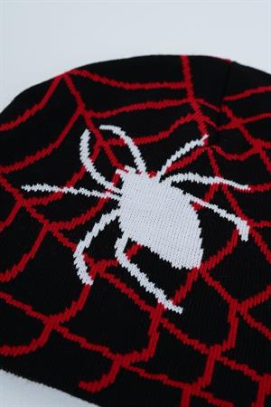 Spider Web Örümcek Siyah Bere