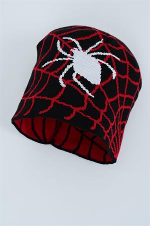 Spider Web Örümcek Siyah Bere