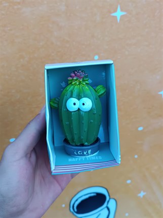 Touz Cactus Love Figür