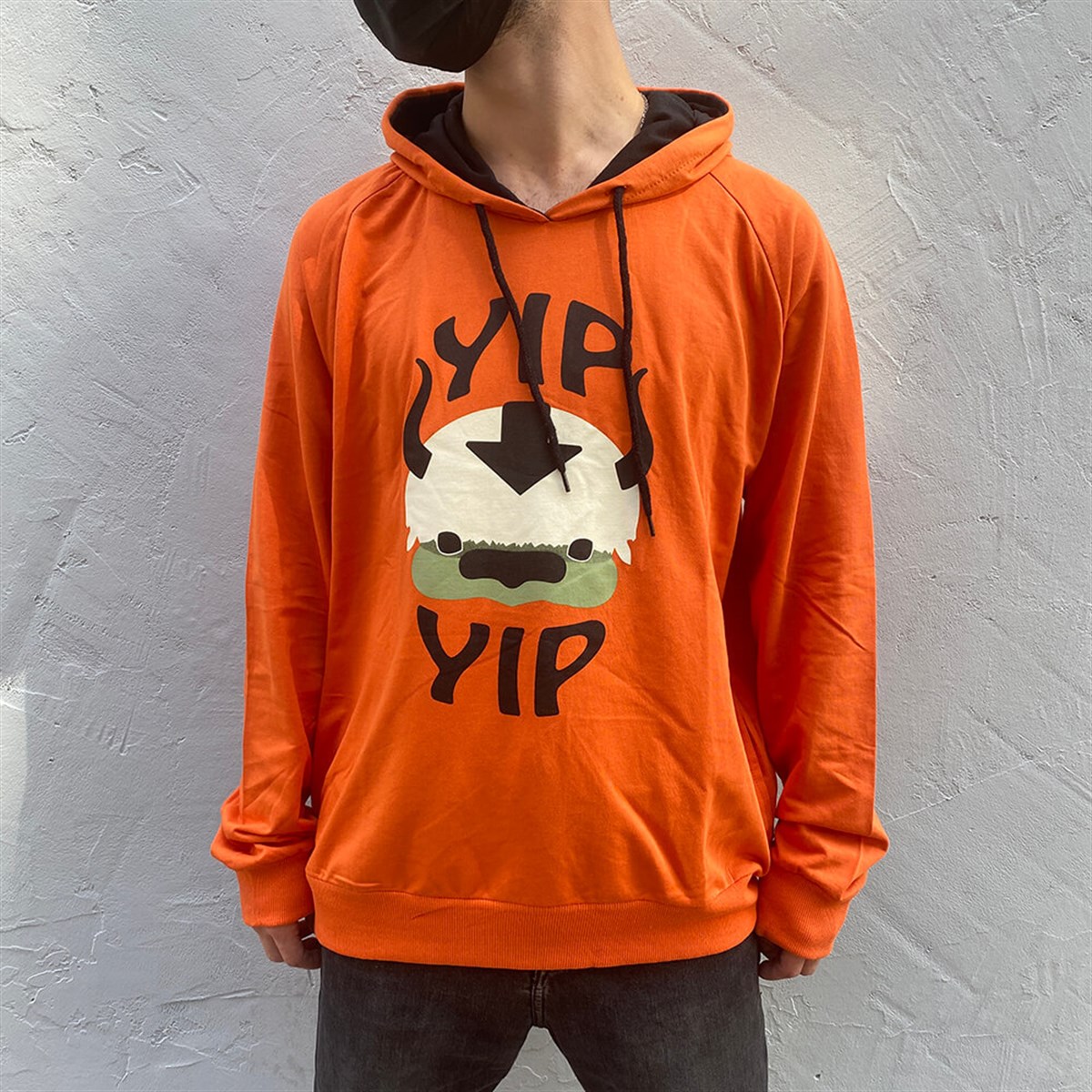 Touz Anime The Last Airbender Appa Yip Yip Hoodie (Unisex) Kapşonlu