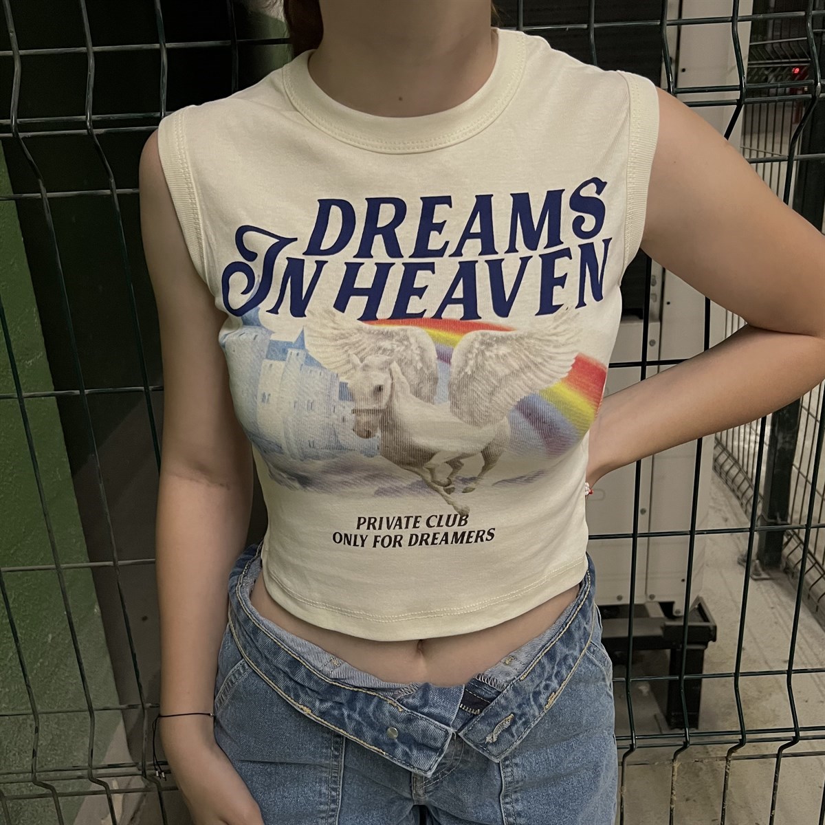 Y2K DREAMS IN HEAVEN EKRU CROPTOP
