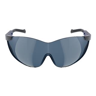 Baymax S-800 Antifog İş Gözlüğü (Füme)
