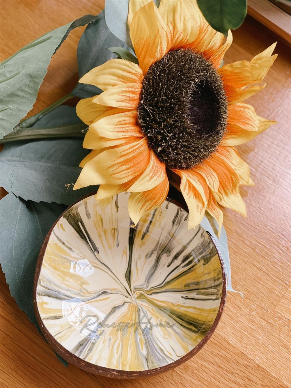 Hindistan Cevizi Kase & Çerezlik