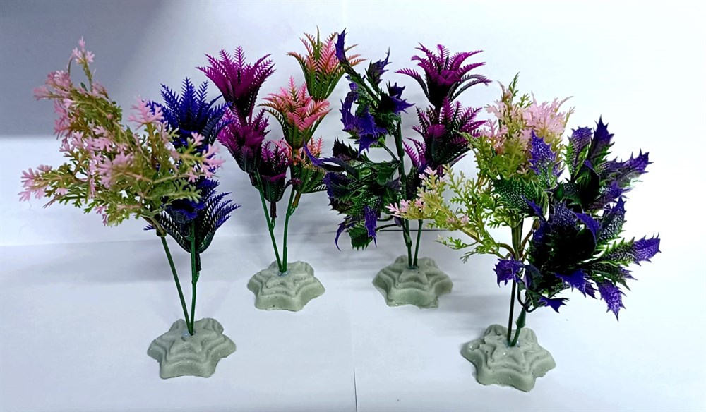 Akvaryum Büyük Boy Bitki Çeşitleri 6'lı