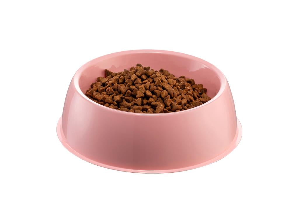 Büyük Yuvarlak Mama & Su Kabı