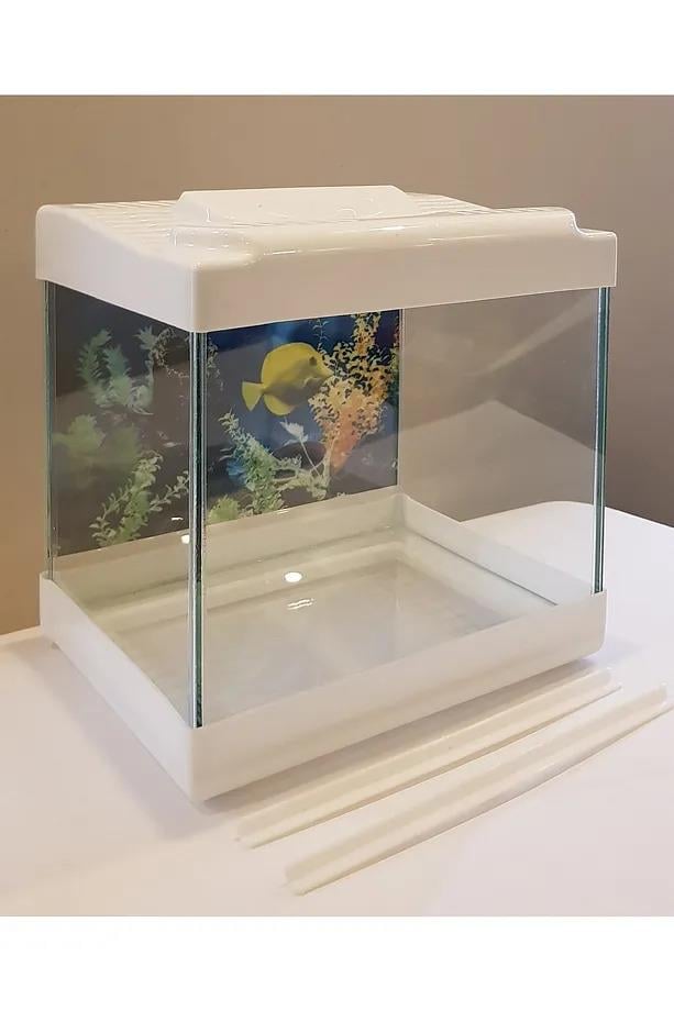 Kare Mini Arka Fonlu Akvaryum