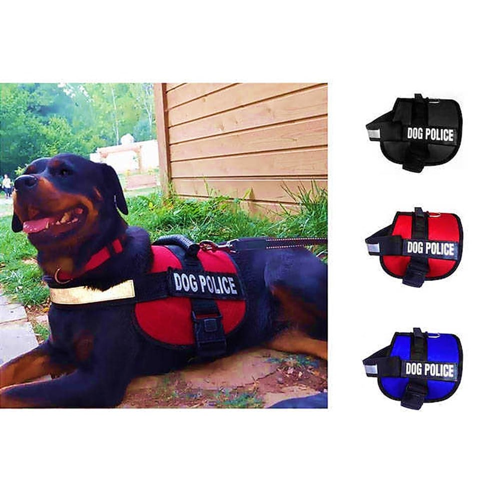 Tasma Köpek Göğüs Sırt 4 Boy