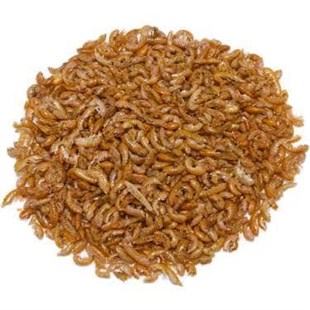 Rotifish Gammarus 750 g