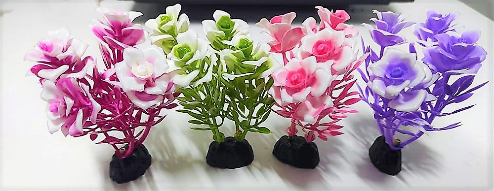 Akvaryum Bitki Çeşitleri