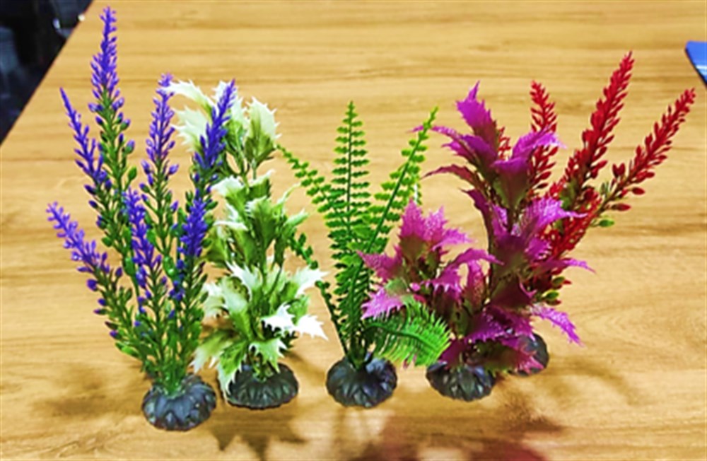 Akvaryum Orta Boy Bitki Çeşitleri 5'li