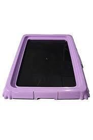 Köpek Eğitim Tuvaleti