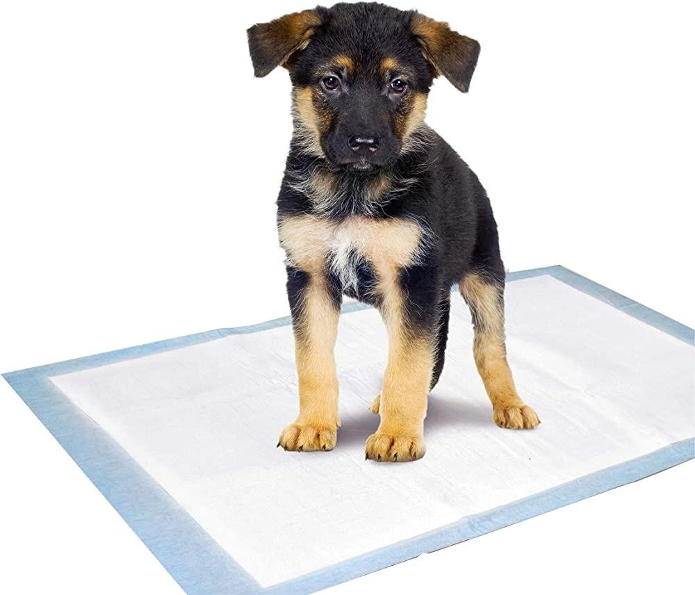 Köpek Tuvalet Pedi 30'lu L Boy 60*90 cm